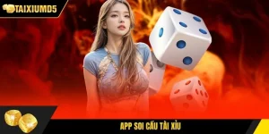 App Soi Cầu Tài Xỉu - Tất Tần Tật Thông Tin Cần Biết