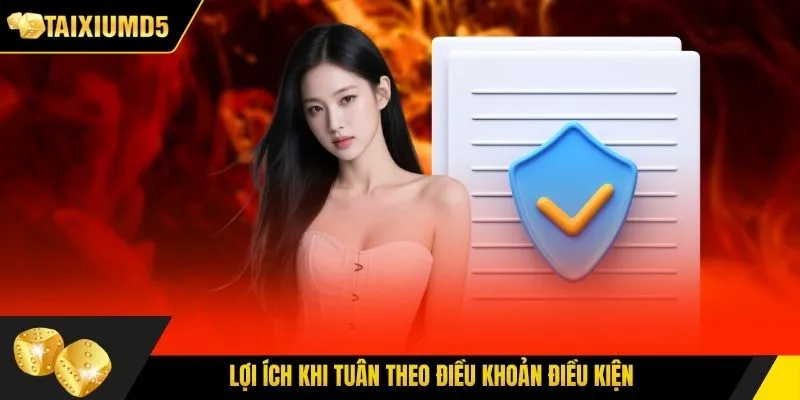 Lợi ích khi tuân theo điều khoản điều kiện