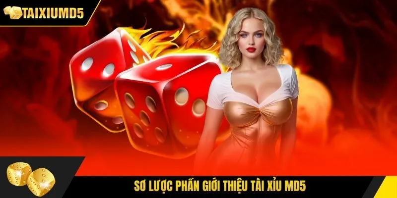 Sơ lược phần giới thiệu Tài Xỉu MD5