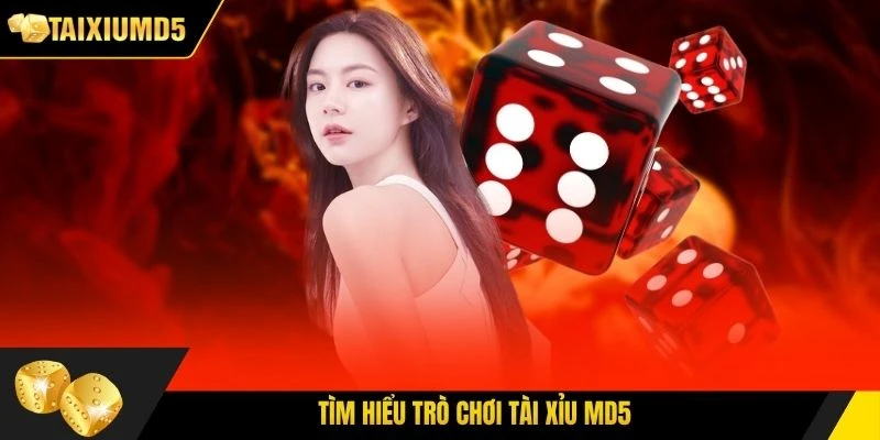 Tìm hiểu trò chơi Tài Xỉu MD5